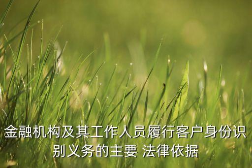 金融機構(gòu)及其工作人員履行客戶身份識別義務的主要 法律依據(jù)