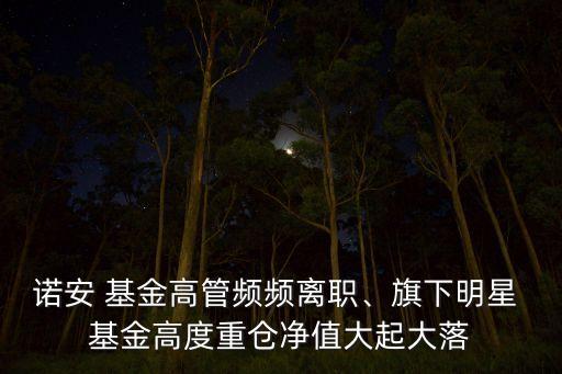 諾安 基金高管頻頻離職、旗下明星 基金高度重倉凈值大起大落