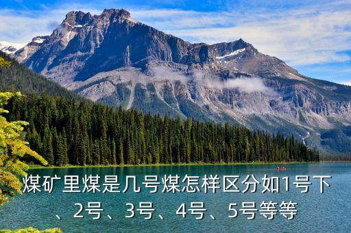  煤礦里煤是幾號煤怎樣區(qū)分如1號下、2號、3號、4號、5號等等
