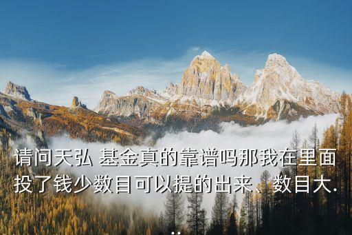 請問天弘 基金真的靠譜嗎那我在里面投了錢少數(shù)目可以提的出來、數(shù)目大...