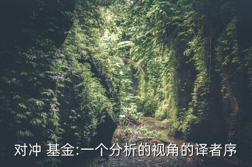 對(duì)沖 基金:一個(gè)分析的視角的譯者序