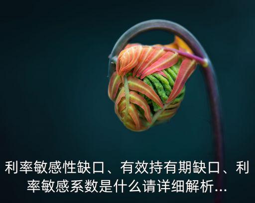 利率敏感性缺口、有效持有期缺口、利率敏感系數(shù)是什么請(qǐng)?jiān)敿?xì)解析...