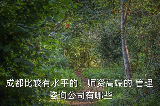 成都比較有水平的、師資高端的 管理 咨詢公司有哪些