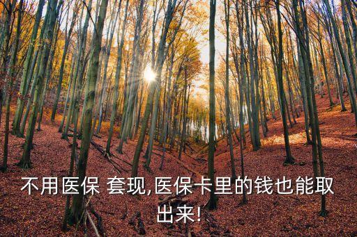 不用醫(yī)保 套現(xiàn),醫(yī)?？ɡ锏腻X(qián)也能取出來(lái)!