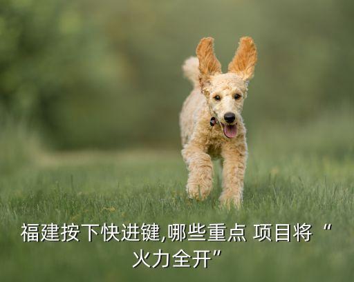 福建按下快進(jìn)鍵,哪些重點(diǎn) 項目將“火力全開”