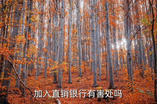加入直銷(xiāo)銀行有害處嗎