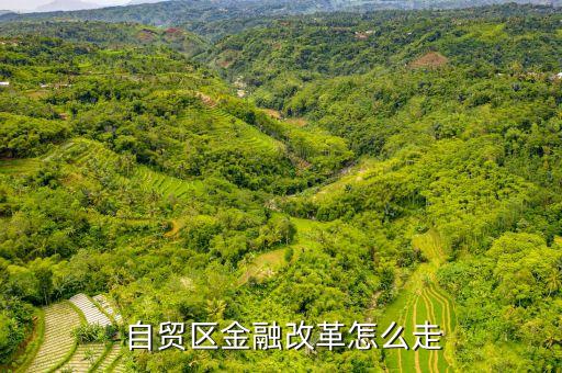 上海自貿(mào)區(qū)民營銀行,上海有哪些民營銀行網(wǎng)點