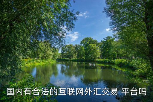 國內(nèi)有合法的互聯(lián)網(wǎng)外匯交易 平臺嗎