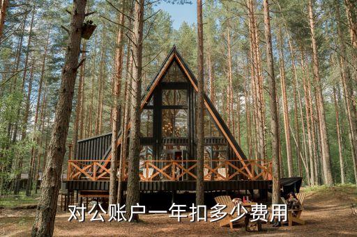 對公賬戶一年扣多少費(fèi)用