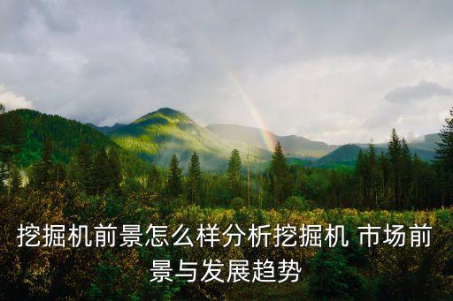 挖掘機前景怎么樣分析挖掘機 市場前景與發(fā)展趨勢