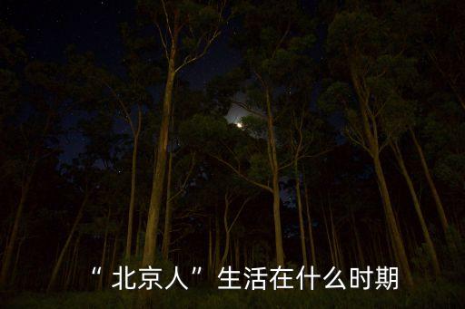 “ 北京人”生活在什么時期