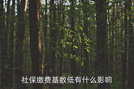 社保繳費基數(shù)低有什么影響