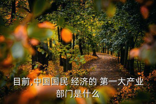 目前,中國國民 經(jīng)濟的 第一大產(chǎn)業(yè)部門是什么