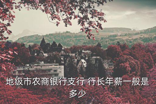 地級(jí)市農(nóng)商銀行支行 行長(zhǎng)年薪一般是多少
