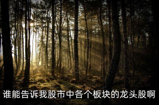 誰(shuí)能告訴我股市中各個(gè)板塊的龍頭股啊