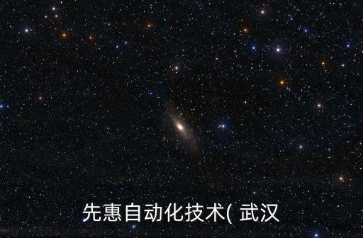 先惠自動化技術(shù)( 武漢