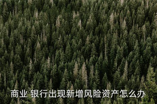 銀行并表管理