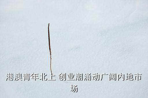 中國三大創(chuàng)業(yè)潮