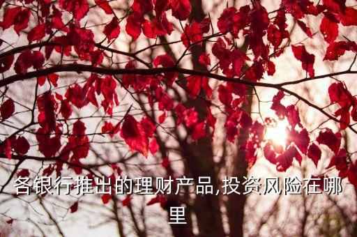 各銀行推出的理財(cái)產(chǎn)品,投資風(fēng)險(xiǎn)在哪里