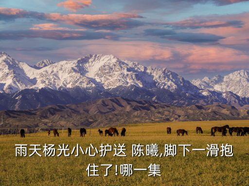 北京人民銀行總行陳曦,人民銀行上?？偛亢捅本┛傂袇^(qū)別