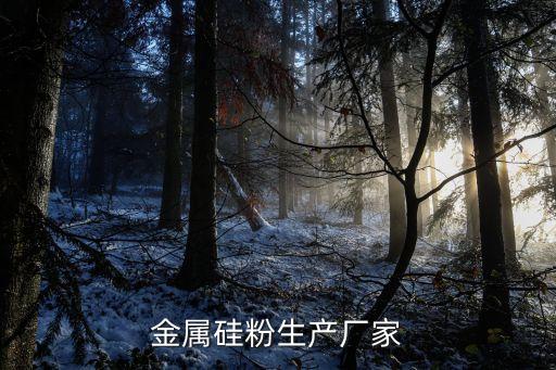 云南保山丙麻硅業(yè)有限責(zé)任公司