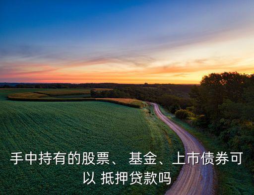 手中持有的股票、 基金、上市債券可以 抵押貸款嗎