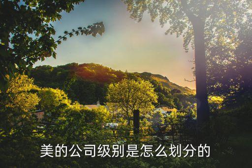 2015年美的集團(tuán)組織結(jié)構(gòu)