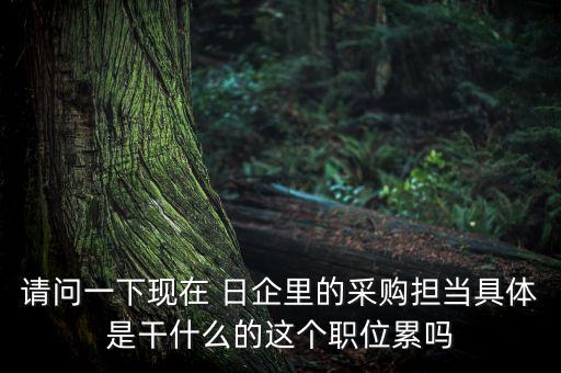 請(qǐng)問一下現(xiàn)在 日企里的采購(gòu)擔(dān)當(dāng)具體是干什么的這個(gè)職位累嗎