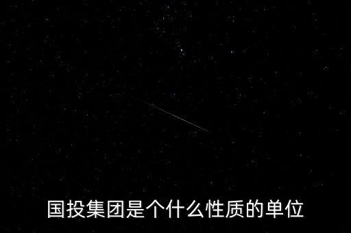 國(guó)投集團(tuán)是個(gè)什么性質(zhì)的單位