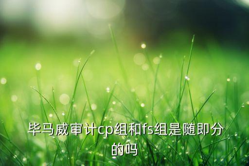  畢馬威審計(jì)cp組和fs組是隨即分的嗎