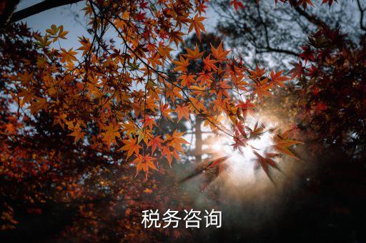 稅務(wù)咨詢(xún)