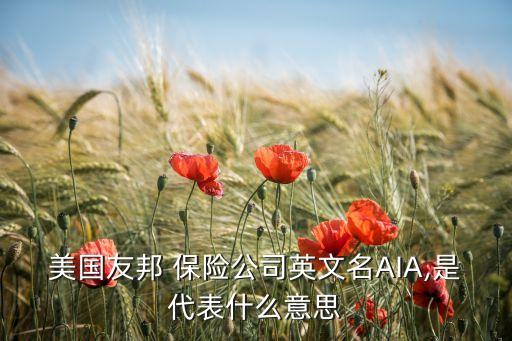 外資獨(dú)資保險公司,中國外資獨(dú)資保險公司有哪些