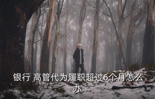  銀行 高管代為履職超過(guò)6個(gè)月怎么辦