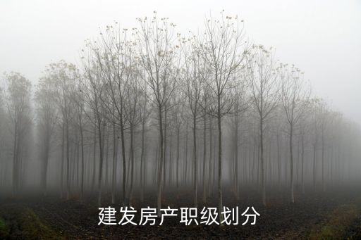 建發(fā)房產(chǎn)職級劃分