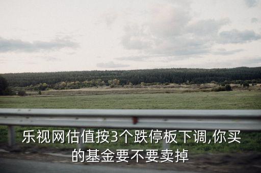  樂視網(wǎng)估值按3個跌停板下調(diào),你買的基金要不要賣掉