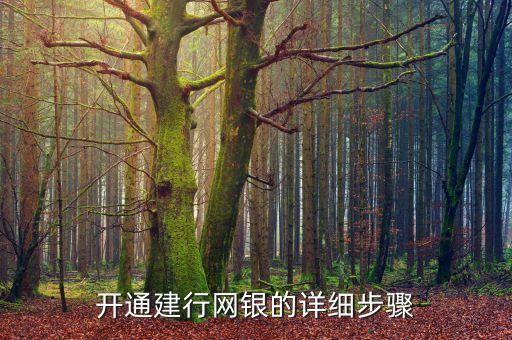 中國建設(shè)銀行網(wǎng)上開戶,儲(chǔ)蓄卡網(wǎng)上開戶