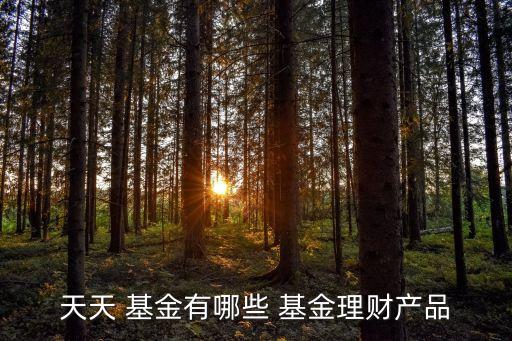 天天 基金有哪些 基金理財產(chǎn)品