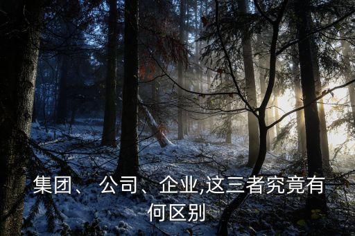  集團(tuán)、 公司、企業(yè),這三者究竟有何區(qū)別