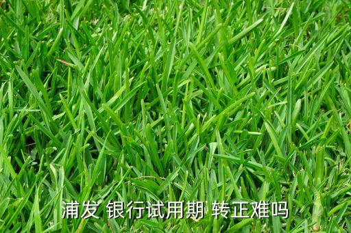 股份制銀行轉(zhuǎn)正很難