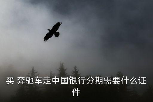 買 奔馳車走中國銀行分期需要什么證件