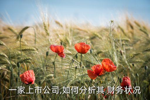 一家上市公司,如何分析其 財務狀況