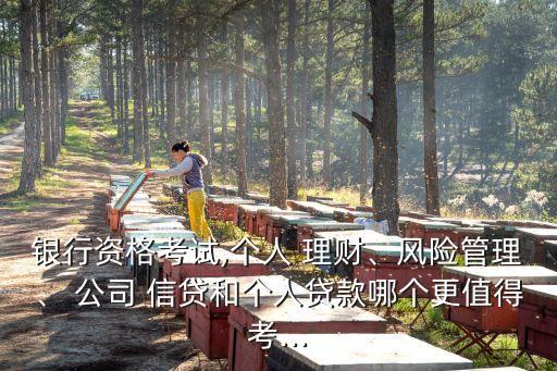 銀行資格考試,個人 理財、風(fēng)險管理、 公司 信貸和個人貸款哪個更值得考...