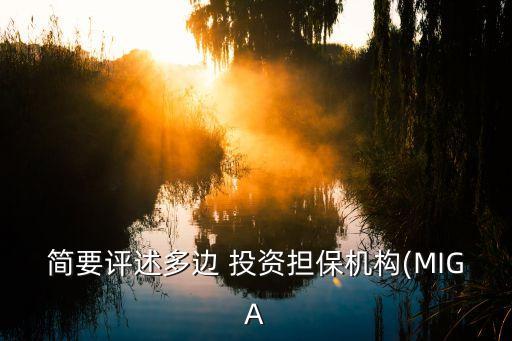 簡要評述多邊 投資擔(dān)保機(jī)構(gòu)(MIGA