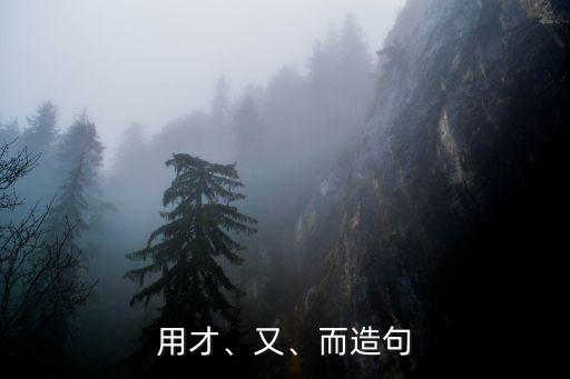 用才、又、而造句