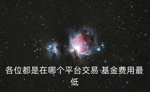 各位都是在哪個平臺交易 基金費用最低