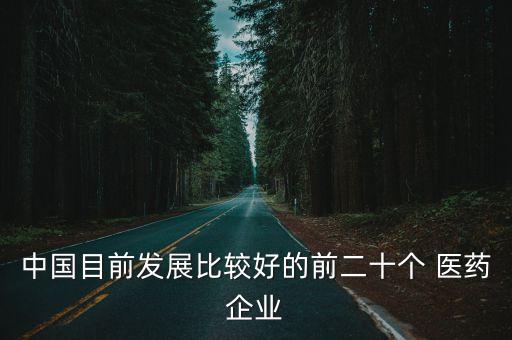 中國(guó)目前發(fā)展比較好的前二十個(gè) 醫(yī)藥企業(yè)