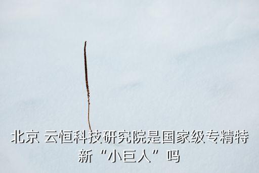 北京 云恒科技研究院是國家級專精特新“小巨人”嗎