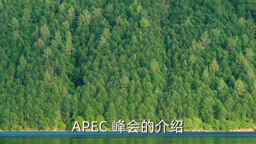 APEC 峰會的介紹