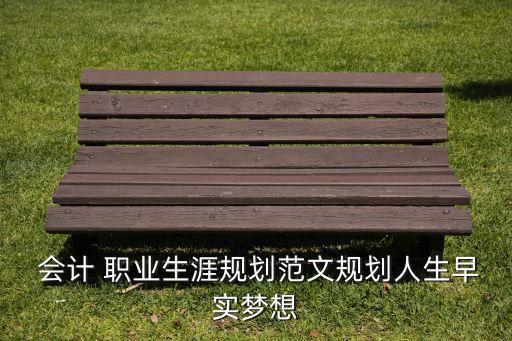  會計(jì) 職業(yè)生涯規(guī)劃范文規(guī)劃人生早實(shí)夢想