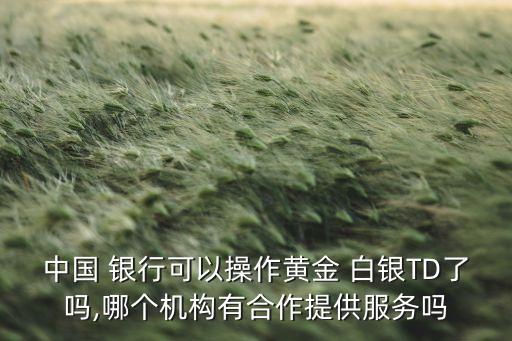 中國 銀行可以操作黃金 白銀TD了嗎,哪個(gè)機(jī)構(gòu)有合作提供服務(wù)嗎